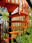 Pine Spiral stair