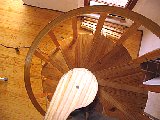 Radiata pine spiral stair