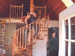 Oak spiral stair
